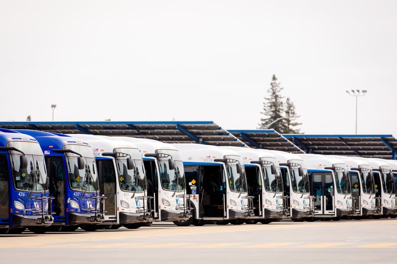 shutterstock_2597338285